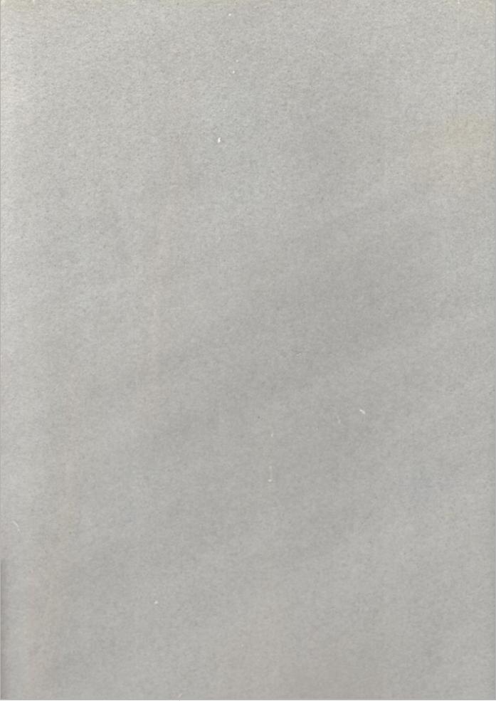 Плитка SW (W1-55) серия SW