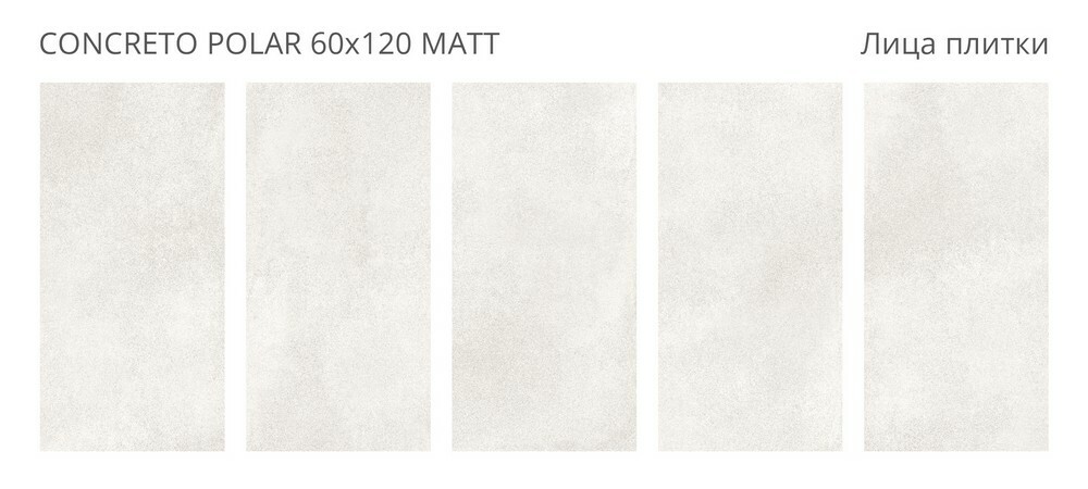Плитка Concreto Polar 60x120 Matt серия Concreto