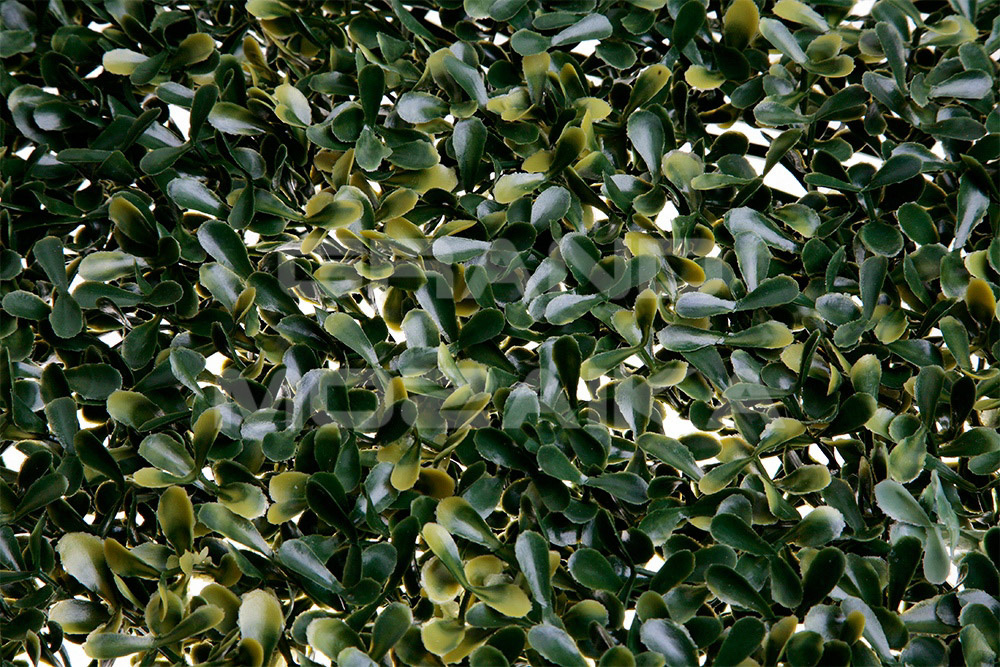 Трава 052288 MZCGZ-06148/MZ188018A серия Grass