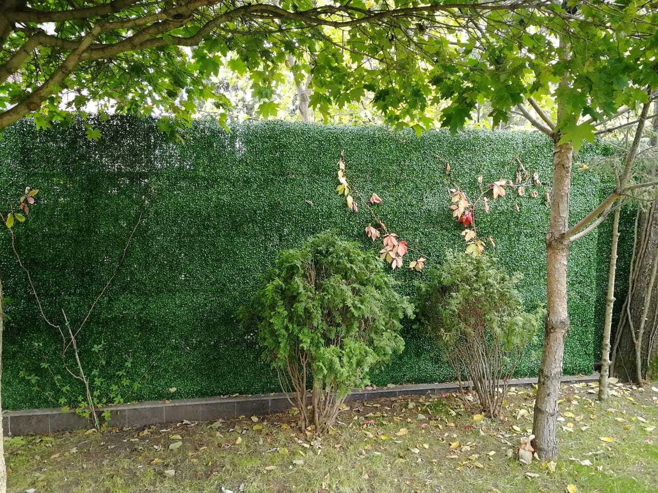 Трава 052281 MZCGZ-06045/MZ188014C серия Grass