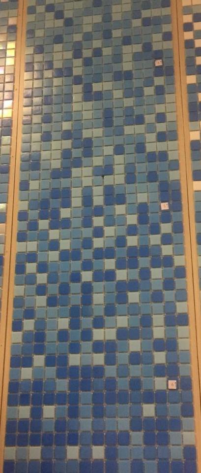 Растяжка NA-V2 серия Растяжки Rose